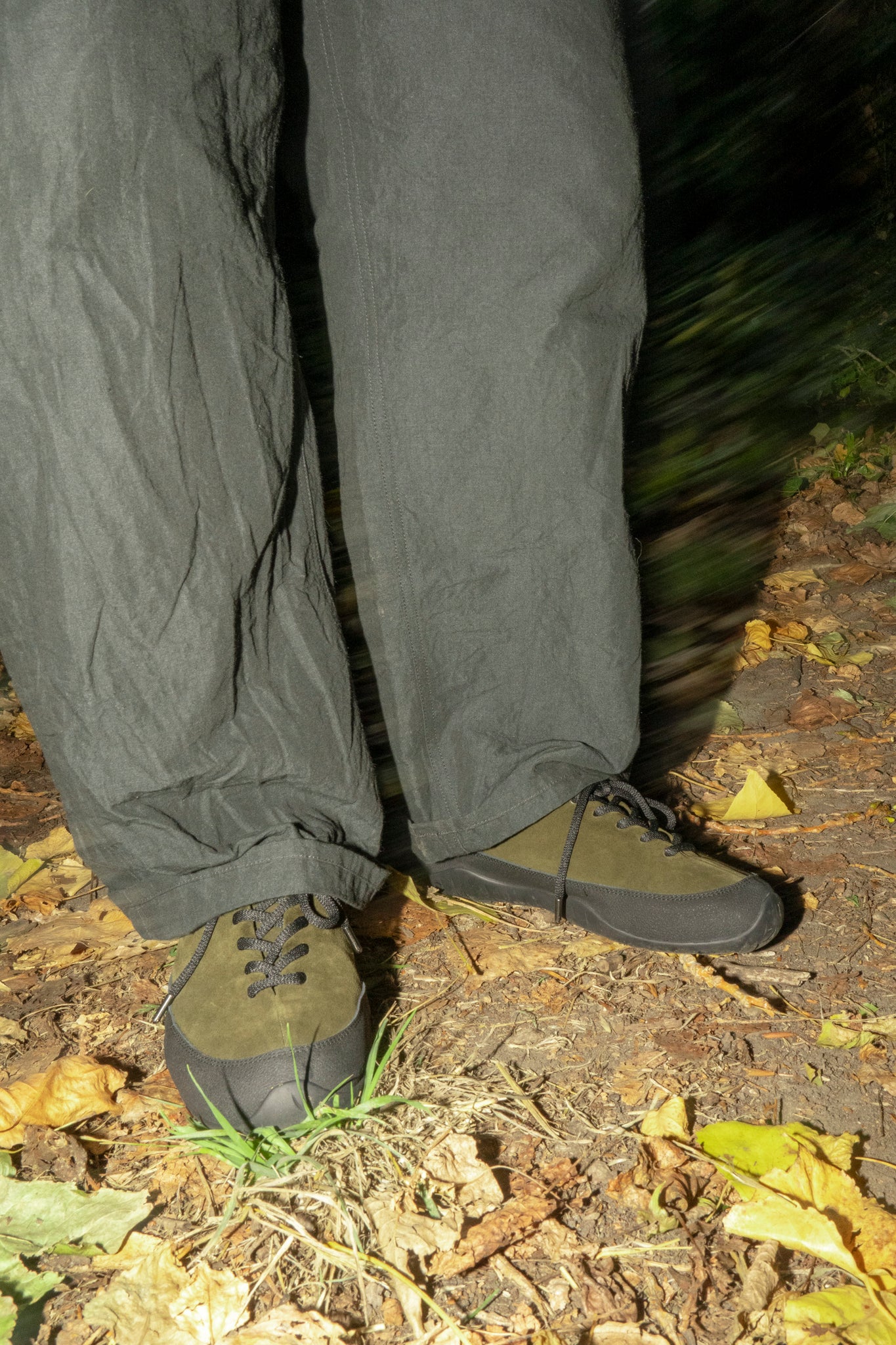 TARVAS - MOSS WANDERER