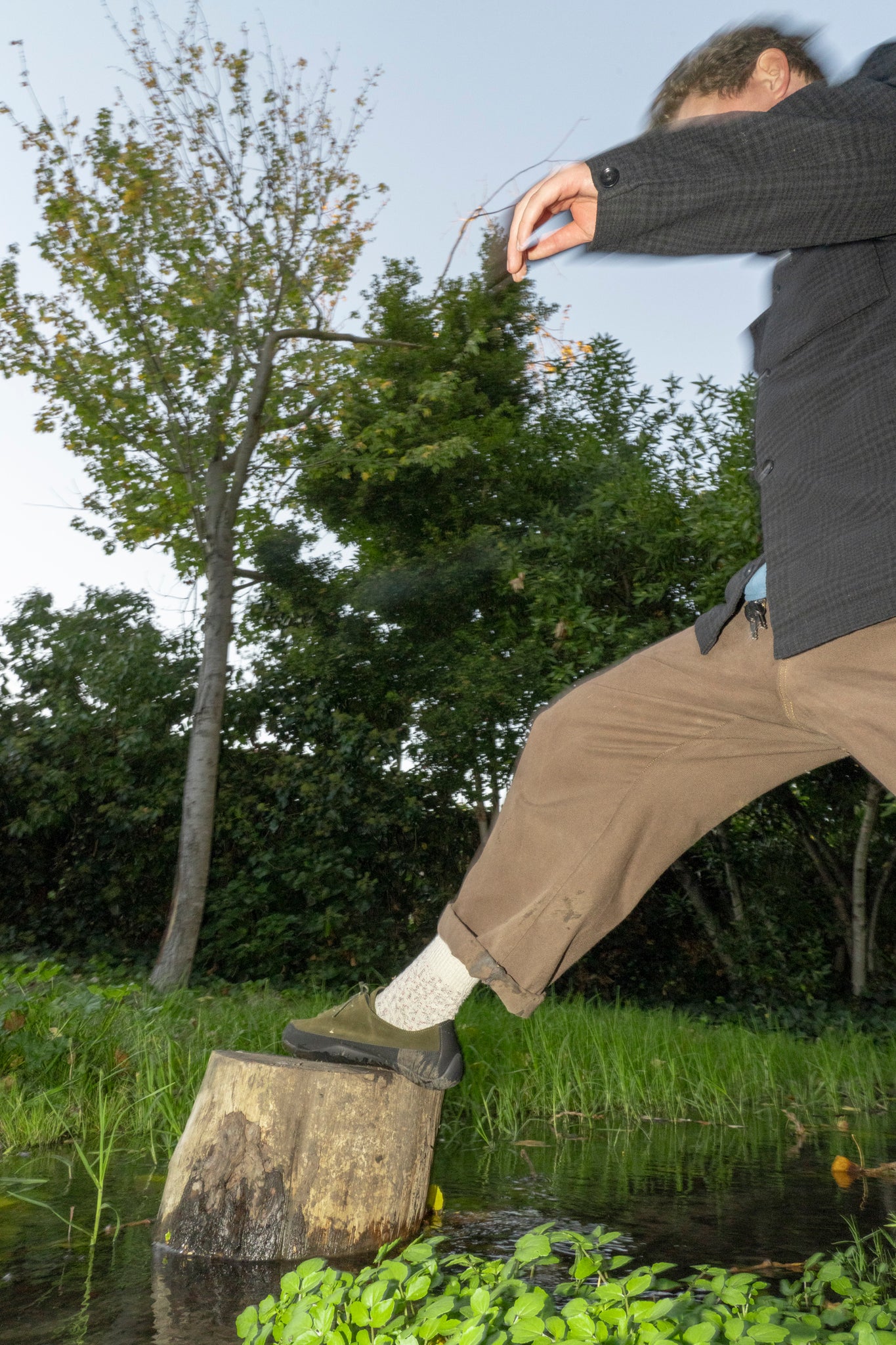 TARVAS - MOSS WANDERER