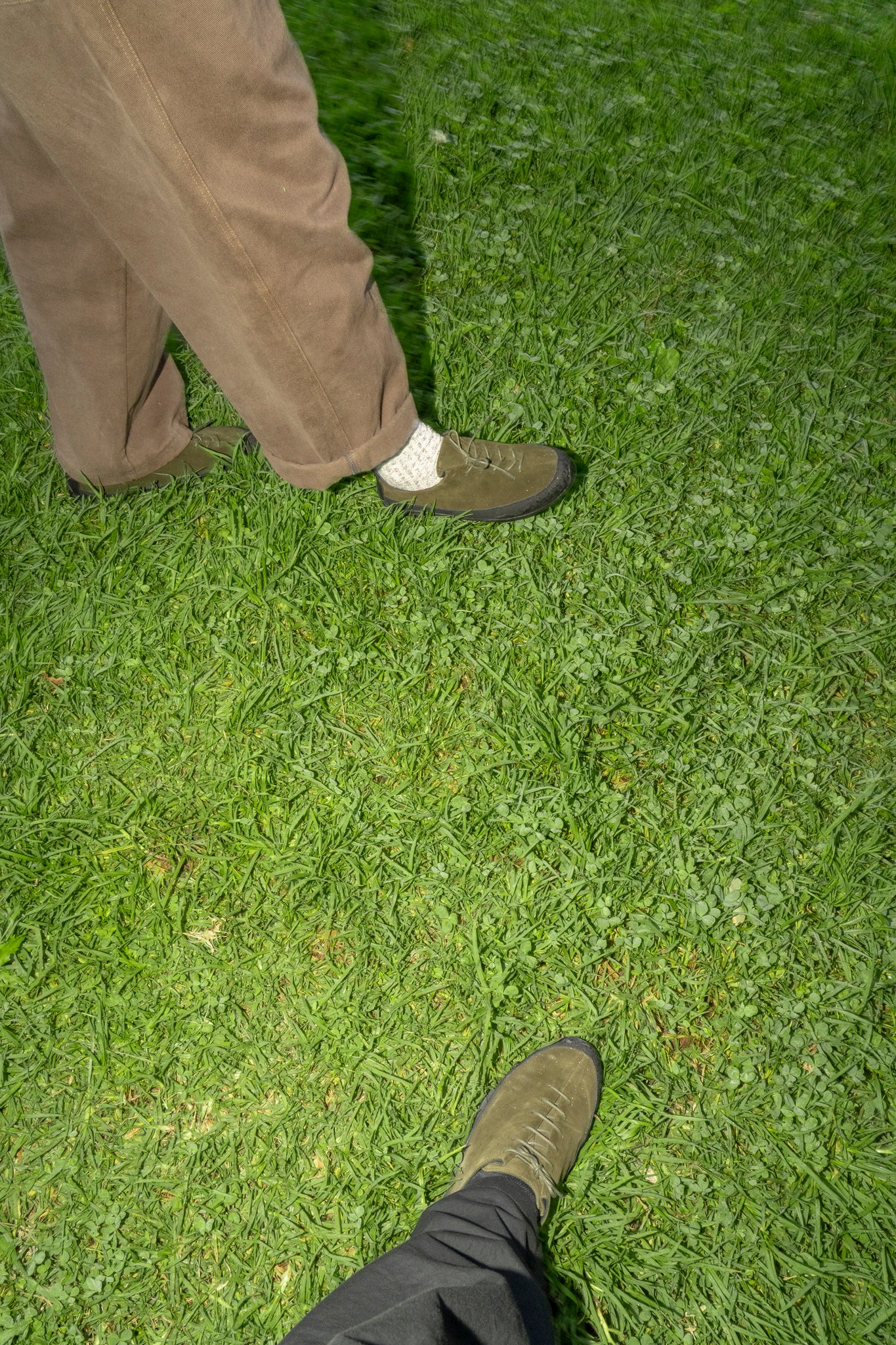 TARVAS - MOSS WANDERER