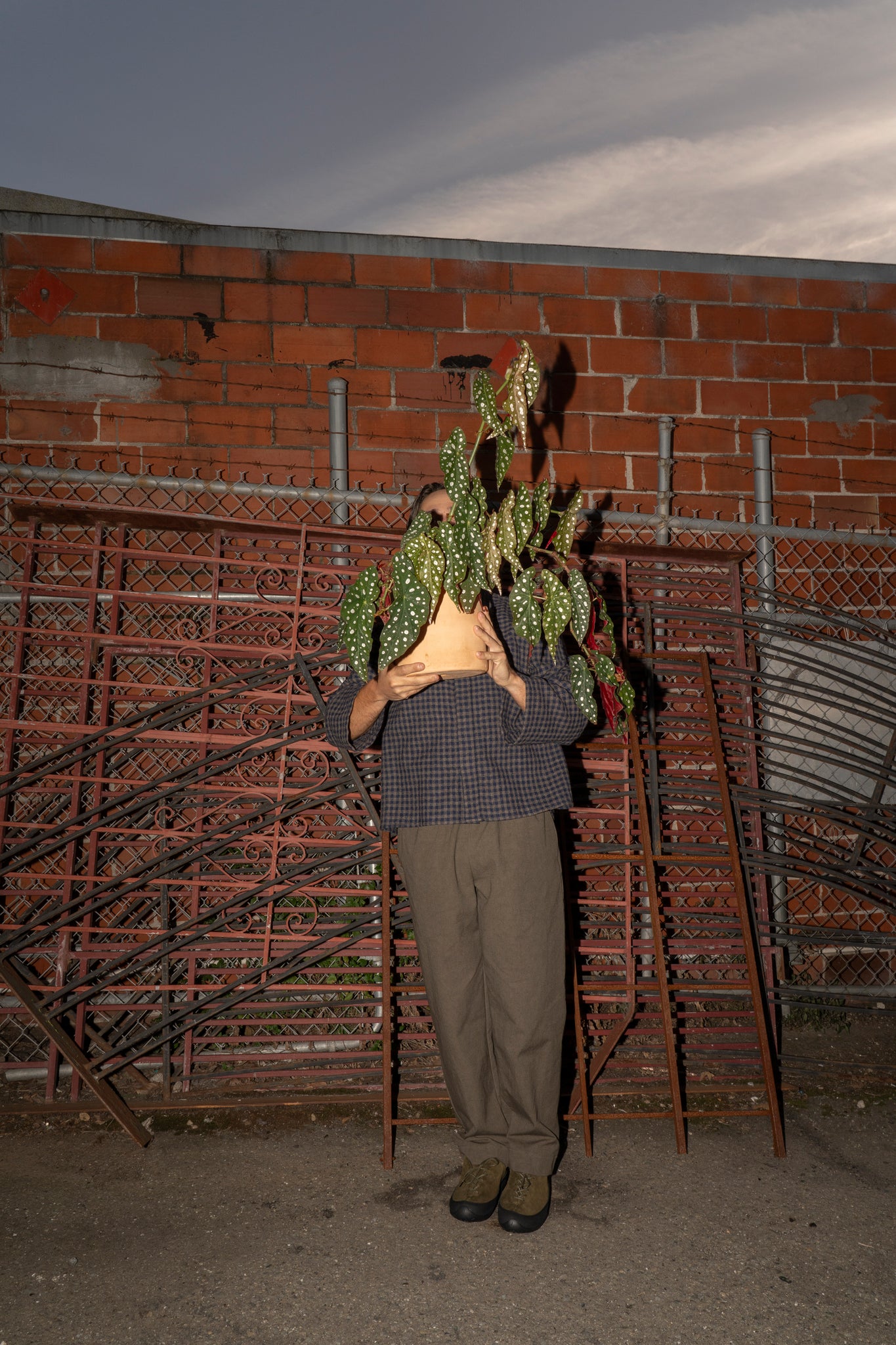 WILLIAM FREDERICK - CAFE PANT ARMY GREEN COTTON/LINEN CANVAS