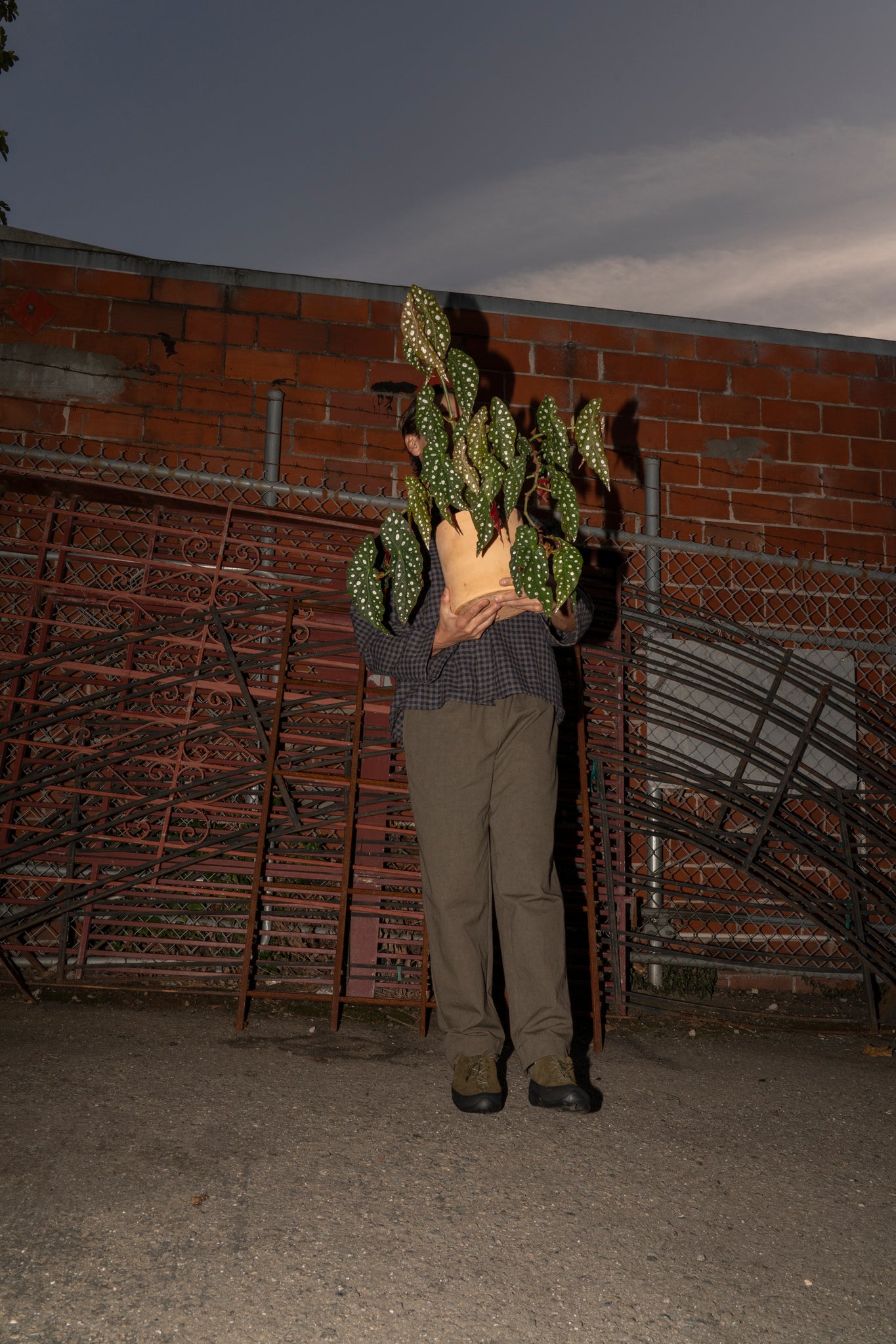 WILLIAM FREDERICK - CAFE PANT ARMY GREEN COTTON/LINEN CANVAS