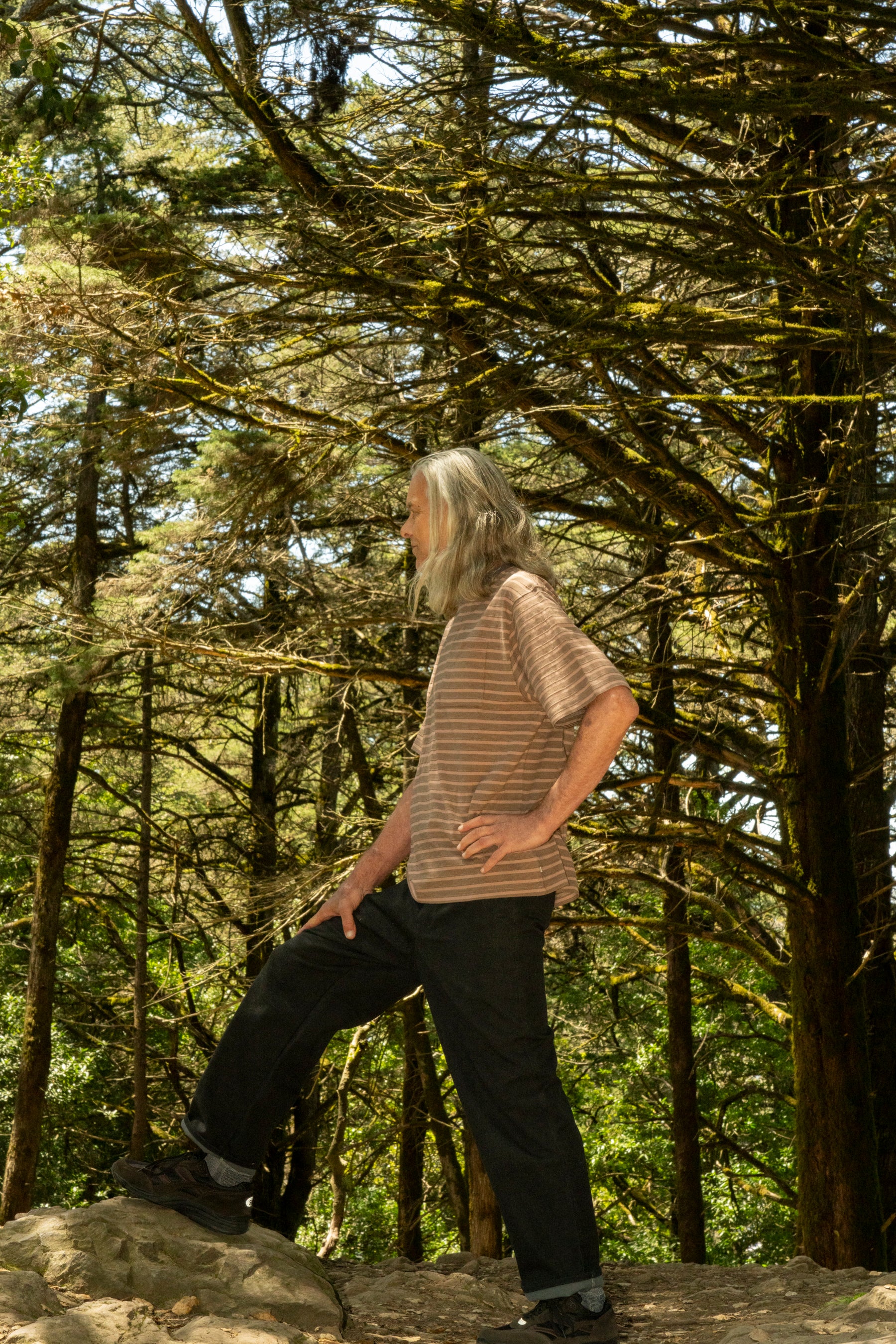 DEVELOPMENT BY NOROLL - UNEVENNESS S/S TEE IN SOIL BROWN