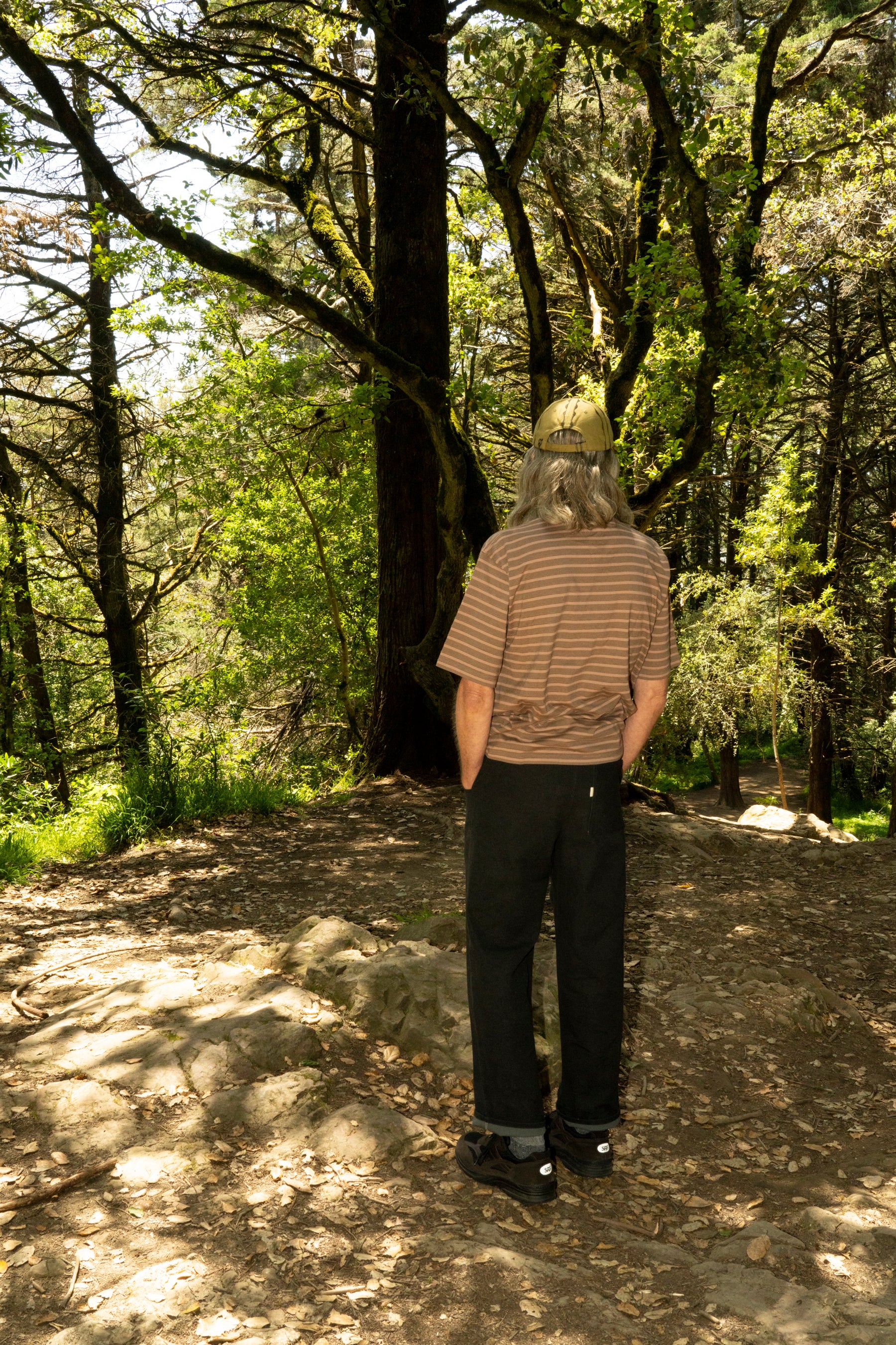 Understory_Development_by_No_R
