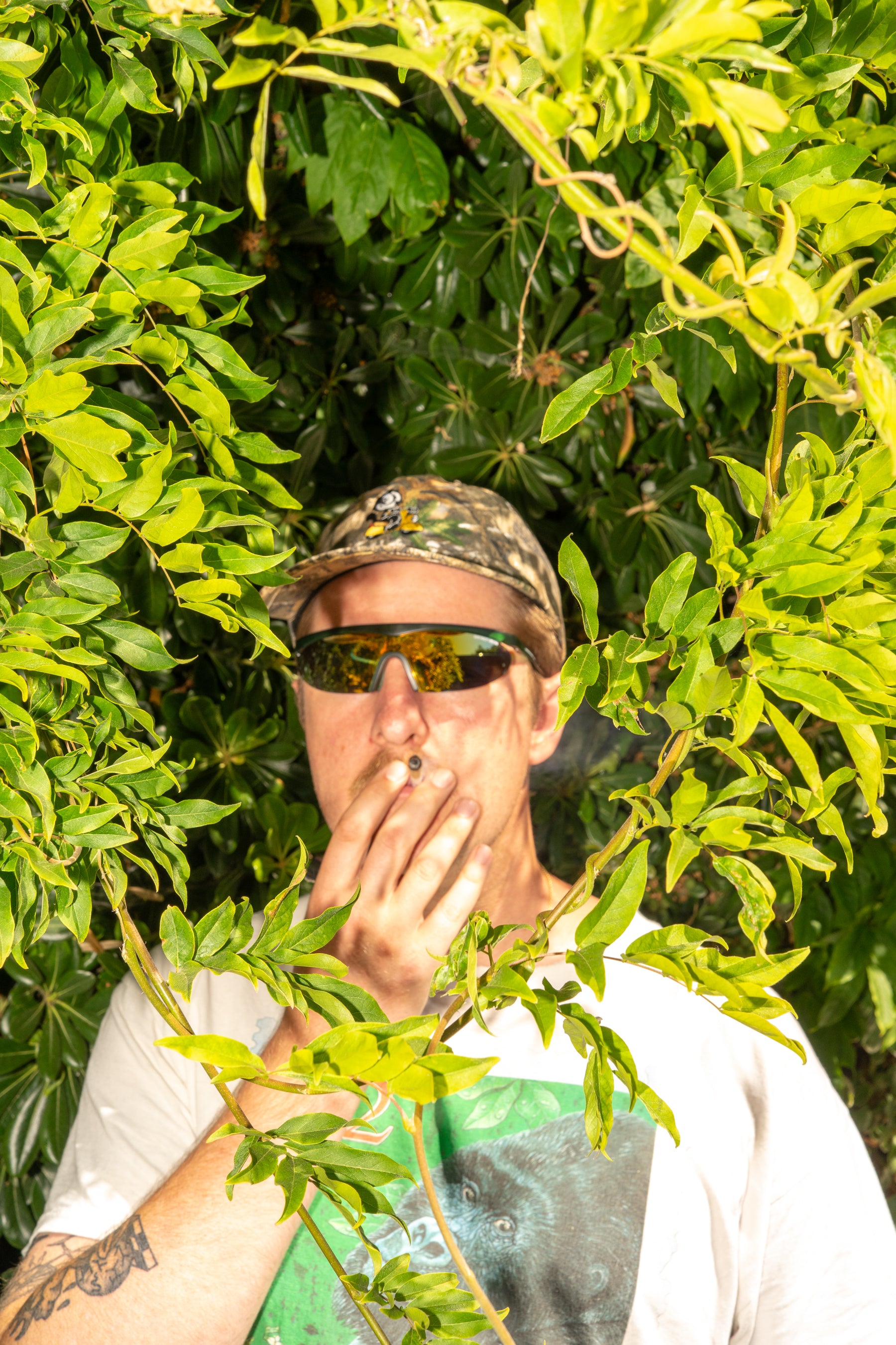 THE FUN GUY - REAL TREE 