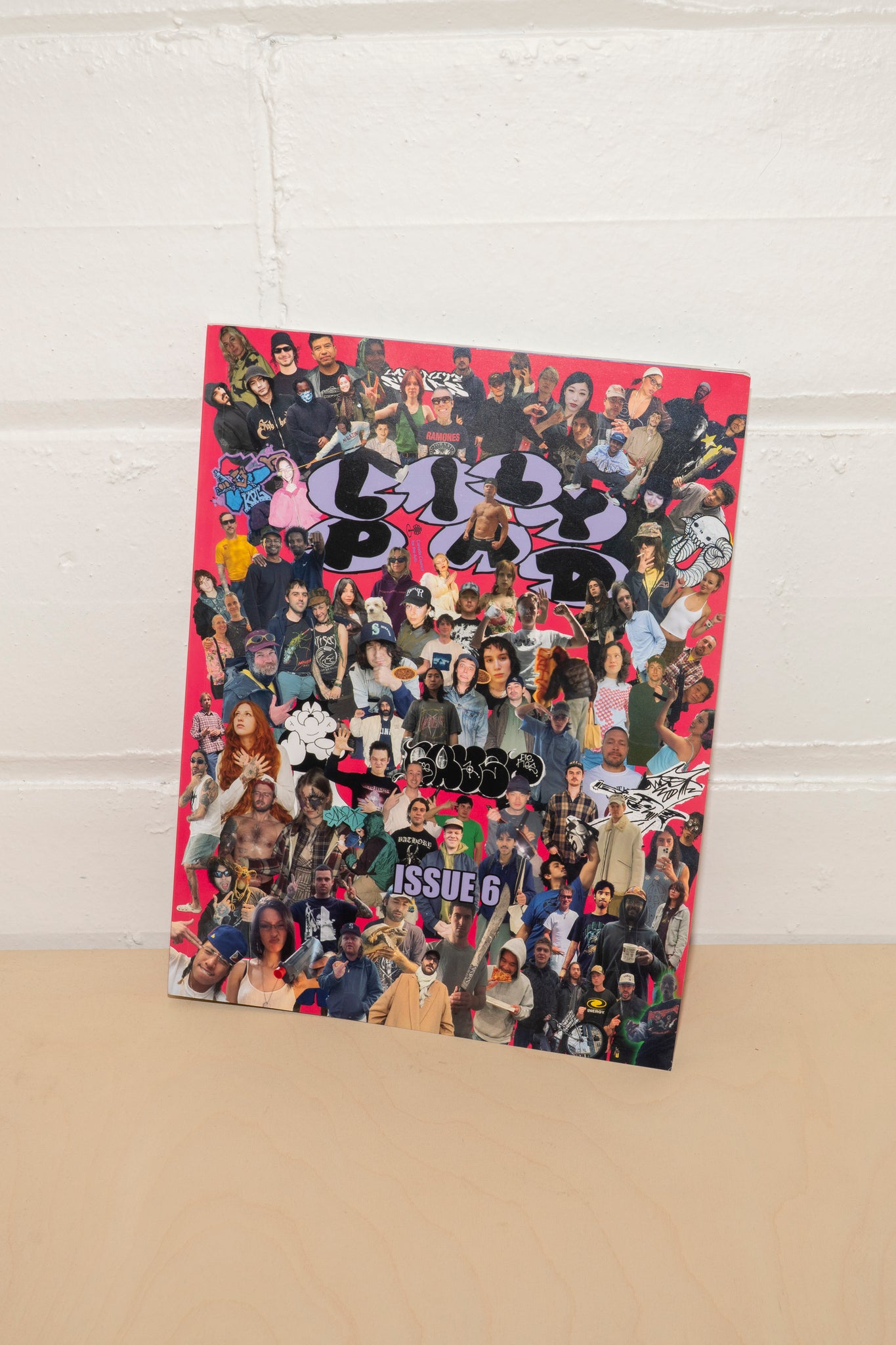 LILYPAD ISSUE #6