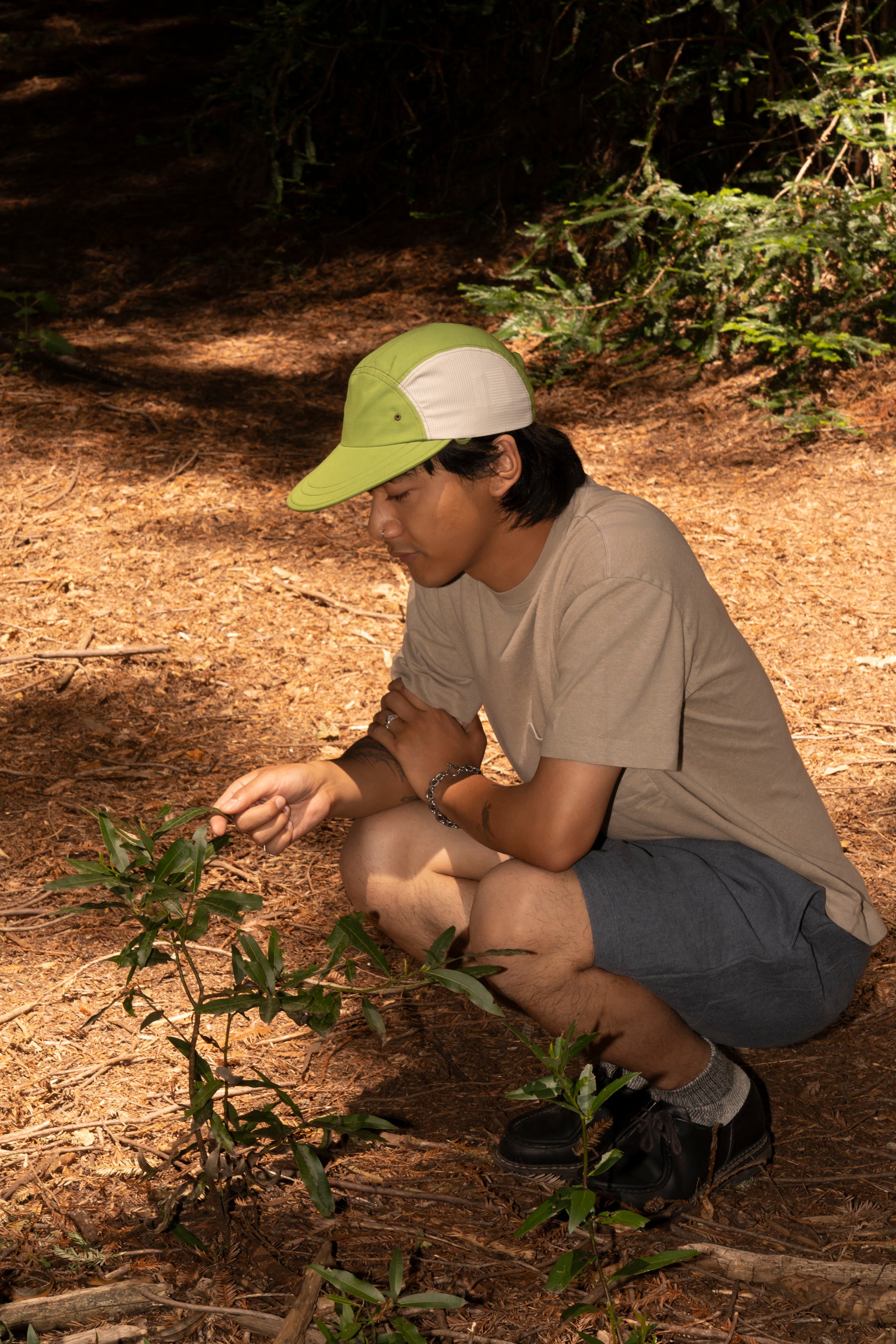 Understory_NoRoll_Honk_Mesh_Ha