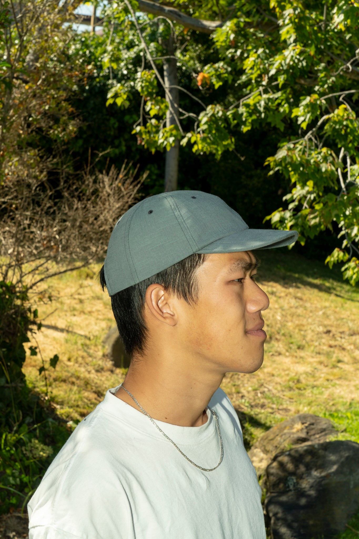 DEVELOPMENT BY NOROLL - OUTDATED CAP IN DARKEST GREEN
