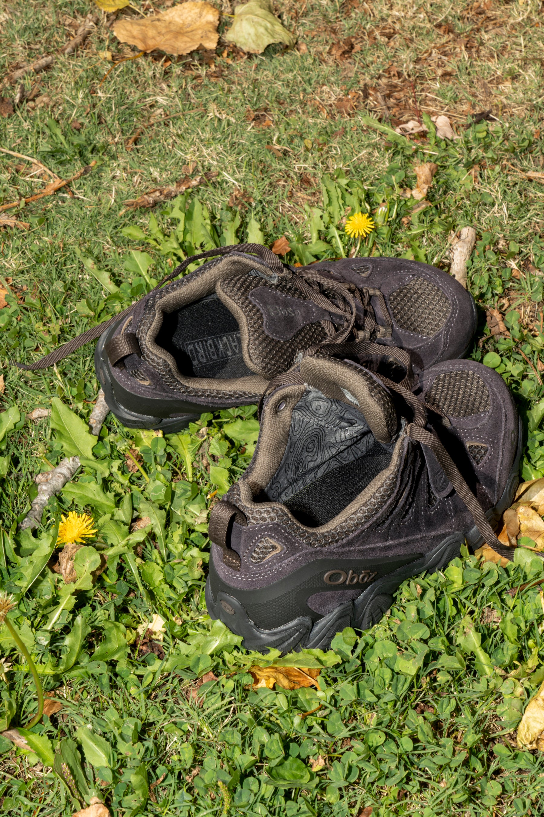 OBŌZ - BBSP SWAGTOOTH LOW IN PURPLE EARTH – understory-shop
