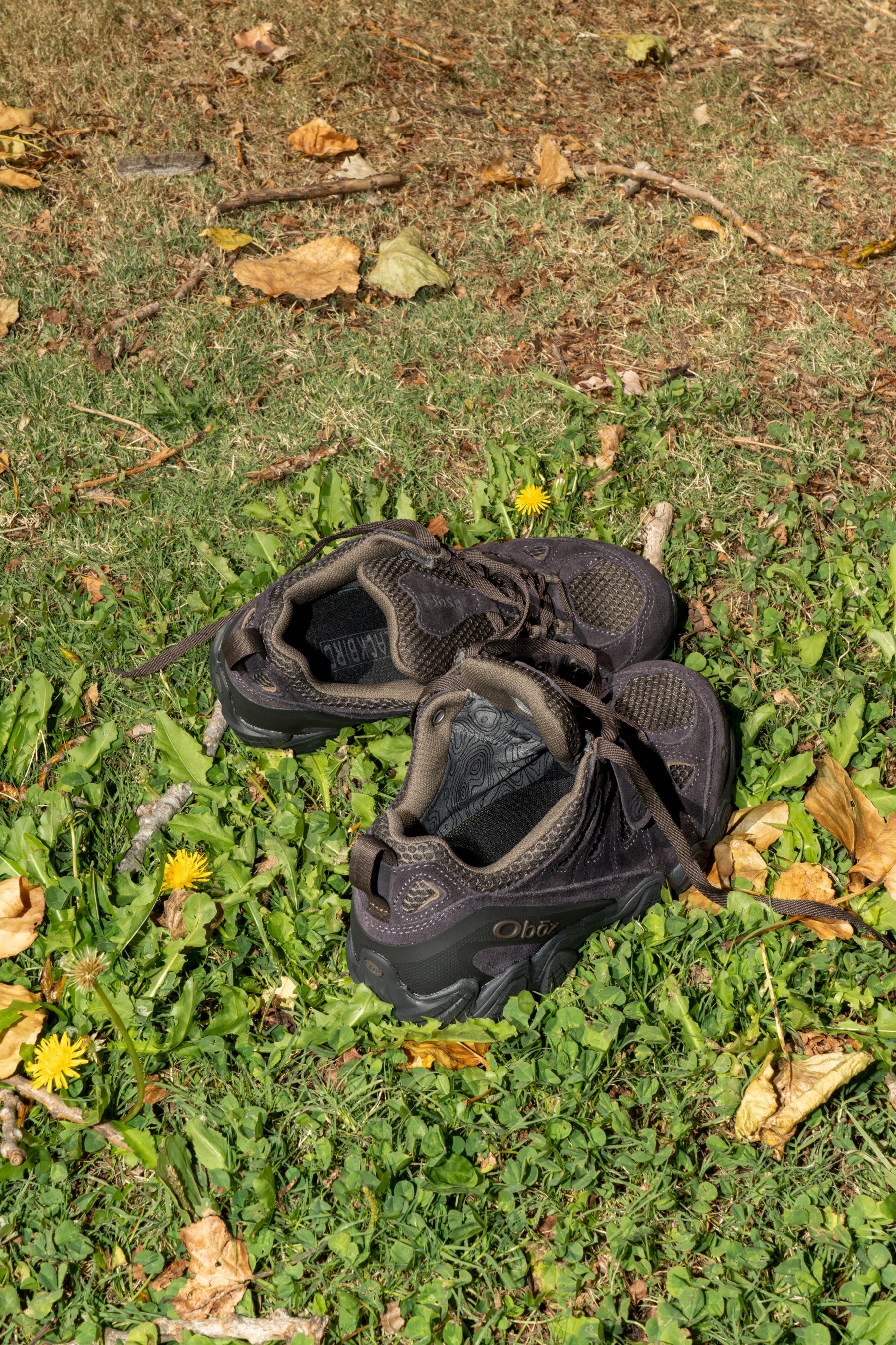 OBŌZ - BBSP SWAGTOOTH LOW IN PURPLE EARTH – understory-shop