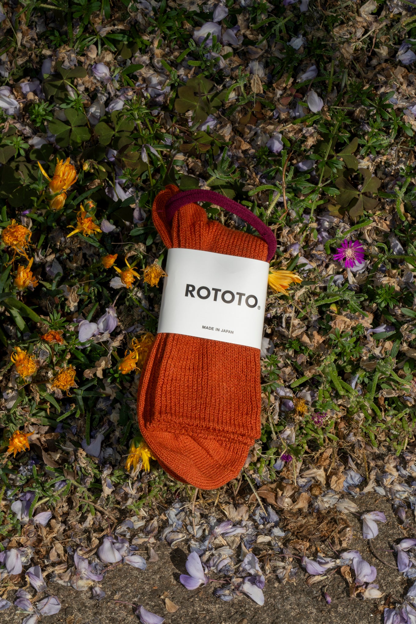 ROTOTO - WASHI/COTTON RIB CREW IN DARK ORANGE