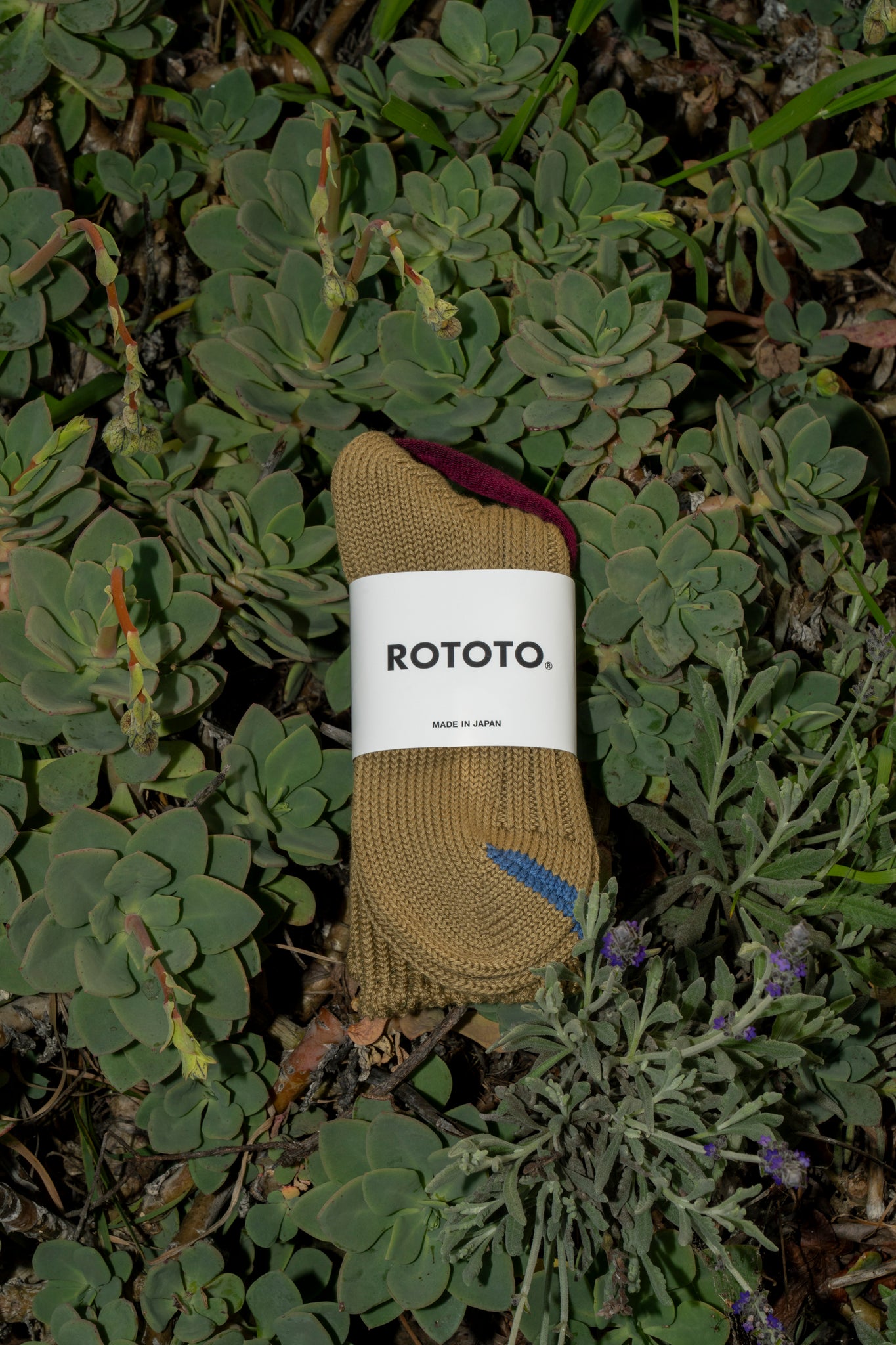 ROTOTO - CHUNKY RIBBED SOCK IN OLIVE