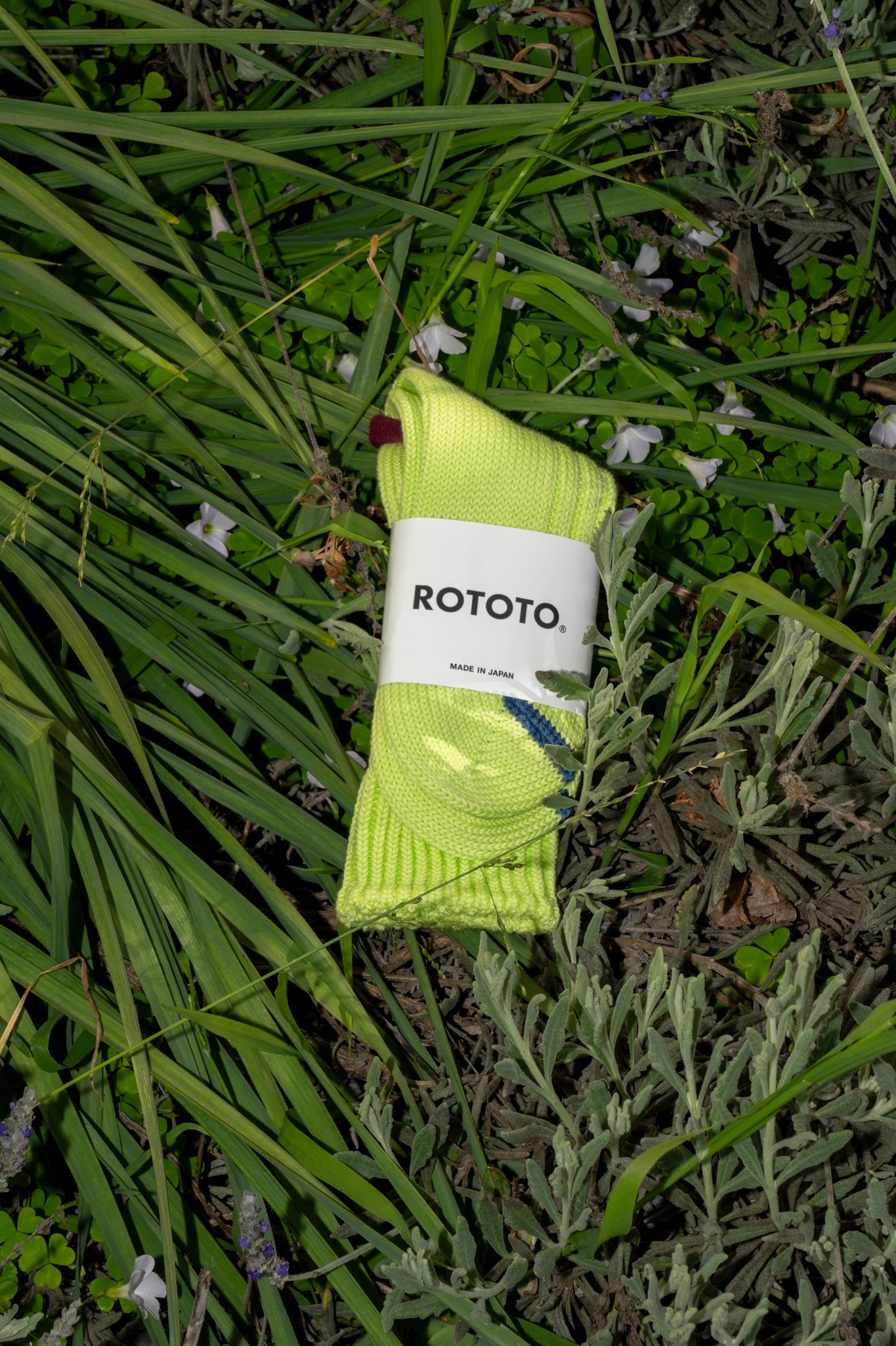 ROTOTO - CHUNKY RIBBED SOCK IN LIME