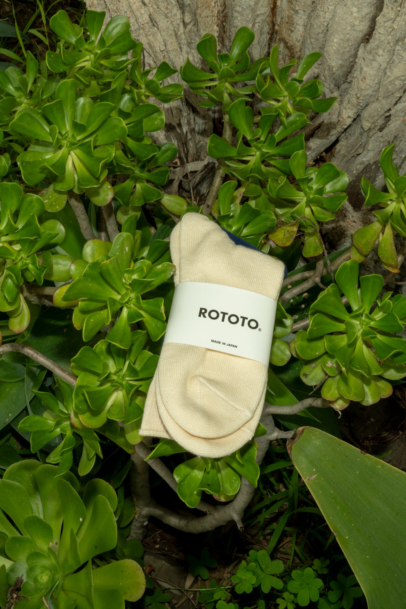 UNDERSTORY SHOP - ROTOTO