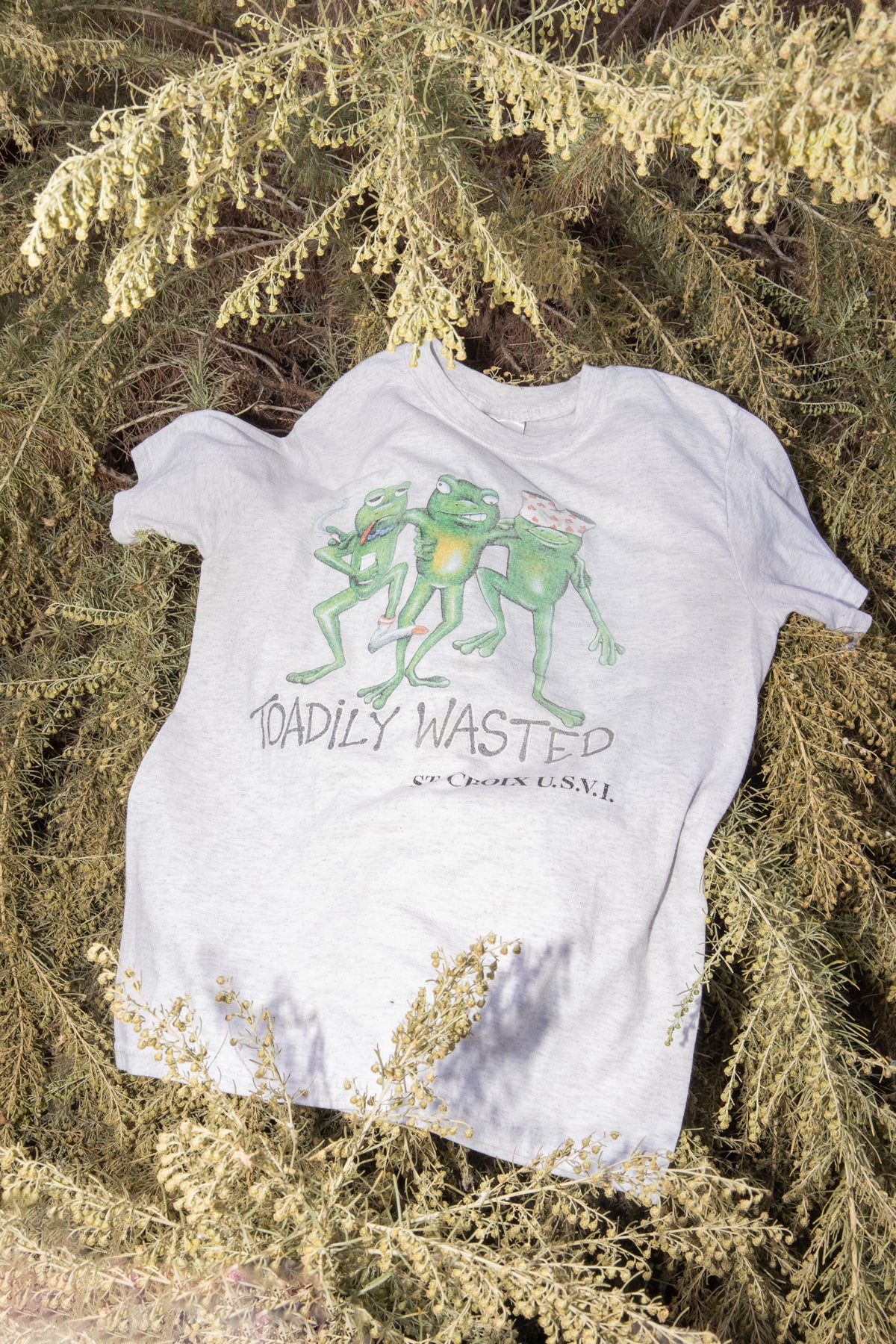 PREMIUM VTG T-SHIRT TOADILY WASTED
